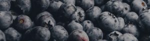 Detailed photo of juicy blueberries
